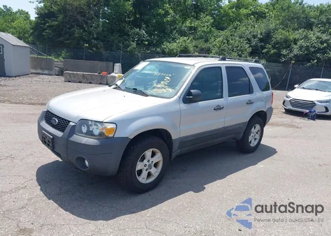 2007 Ford Escape Xlt/Xlt Sport z USA, uszkodzony, nr VIN 1FMYU93137KB87437